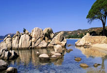 古典园林漫步：探寻风情万种的美景